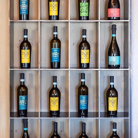 Arcadia Wine - Adults Only