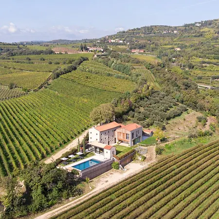 Arcadia Wine Soave