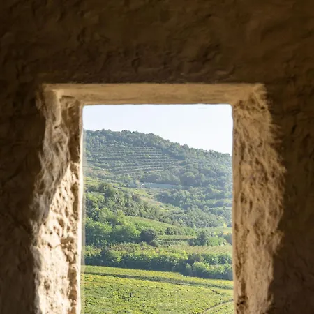 Hétvégi ház Arcadia Wine Soave