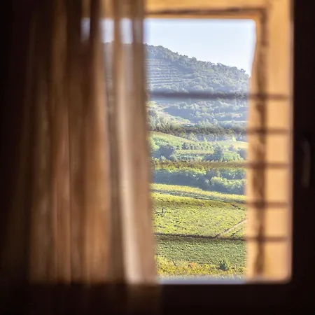 Arcadia Wine Εξοχικό σπίτι