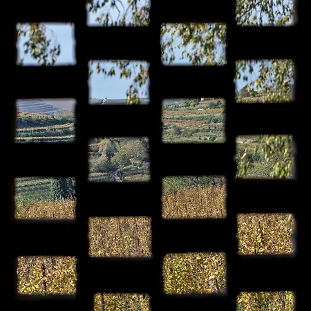Country house Arcadia Wine *