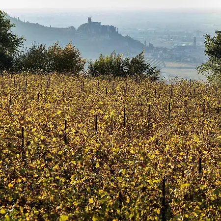 Arcadia Wine Εξοχικό σπίτι